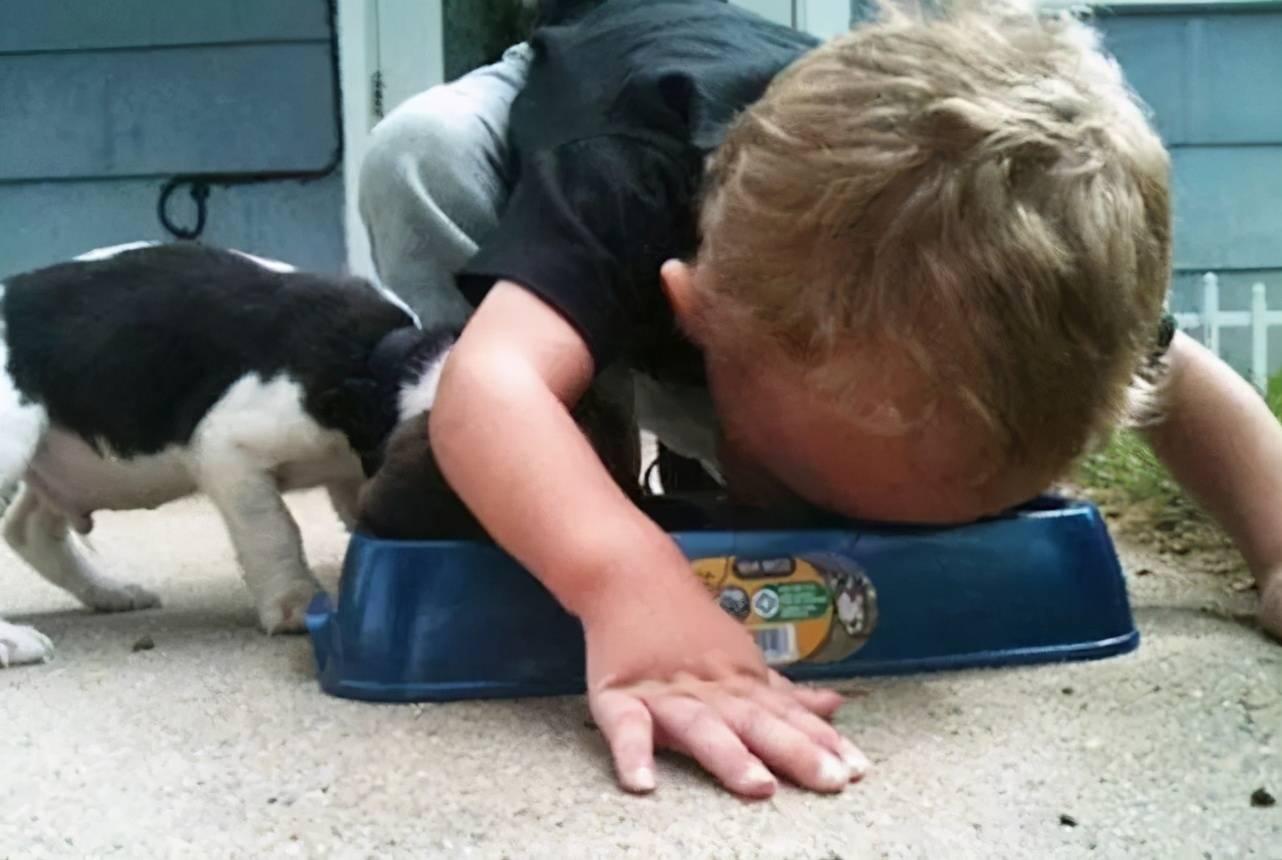 如果孩子想要一只宠物，家长先别左右为难，看完这篇文章再做决定