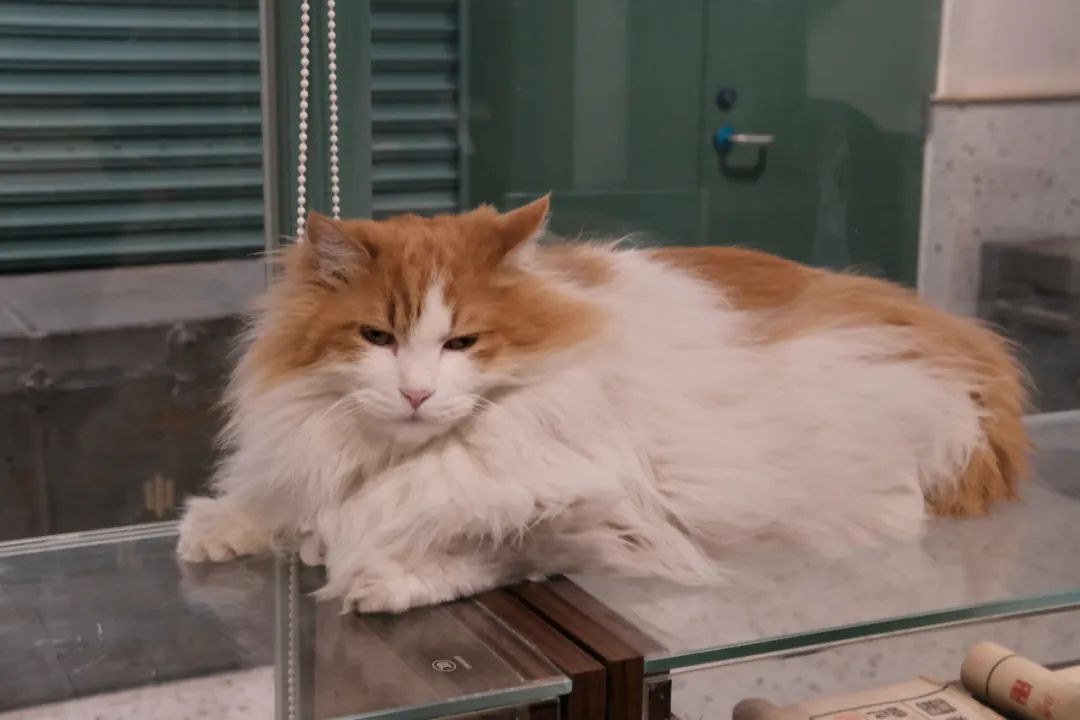 北京文艺气息扑面而来的地方,北京文艺气息的胡同