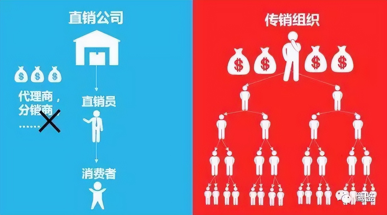 今年一月份，网传“国货之光”董事长被带走？还在激情带货