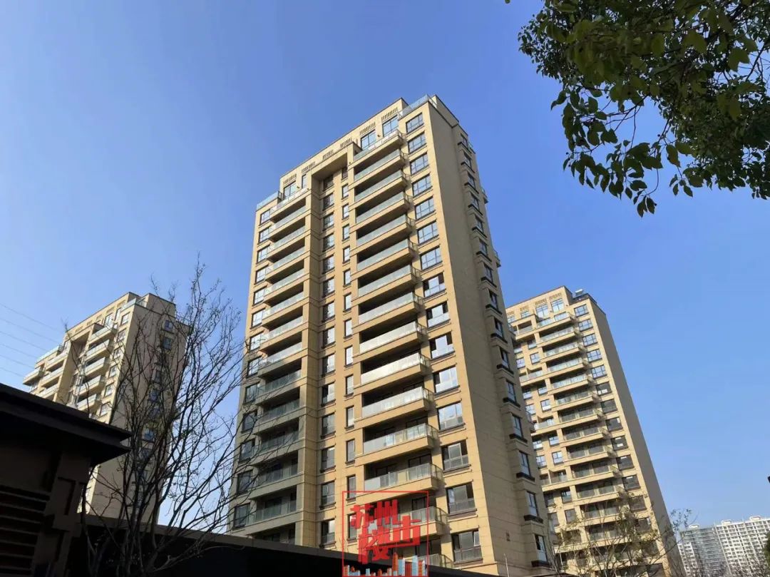 注意！沉寂多年的“僵尸盘”开始上市！