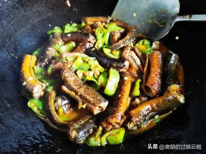 鲶鱼是世界上最脏的鱼,中国十大最脏鱼是什么鱼