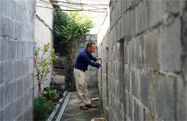 广西养蛇人视频,养蛇人最怕的毒蛇