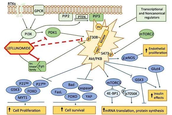 爱若华治什么病,爱若华副作用一般多久出现