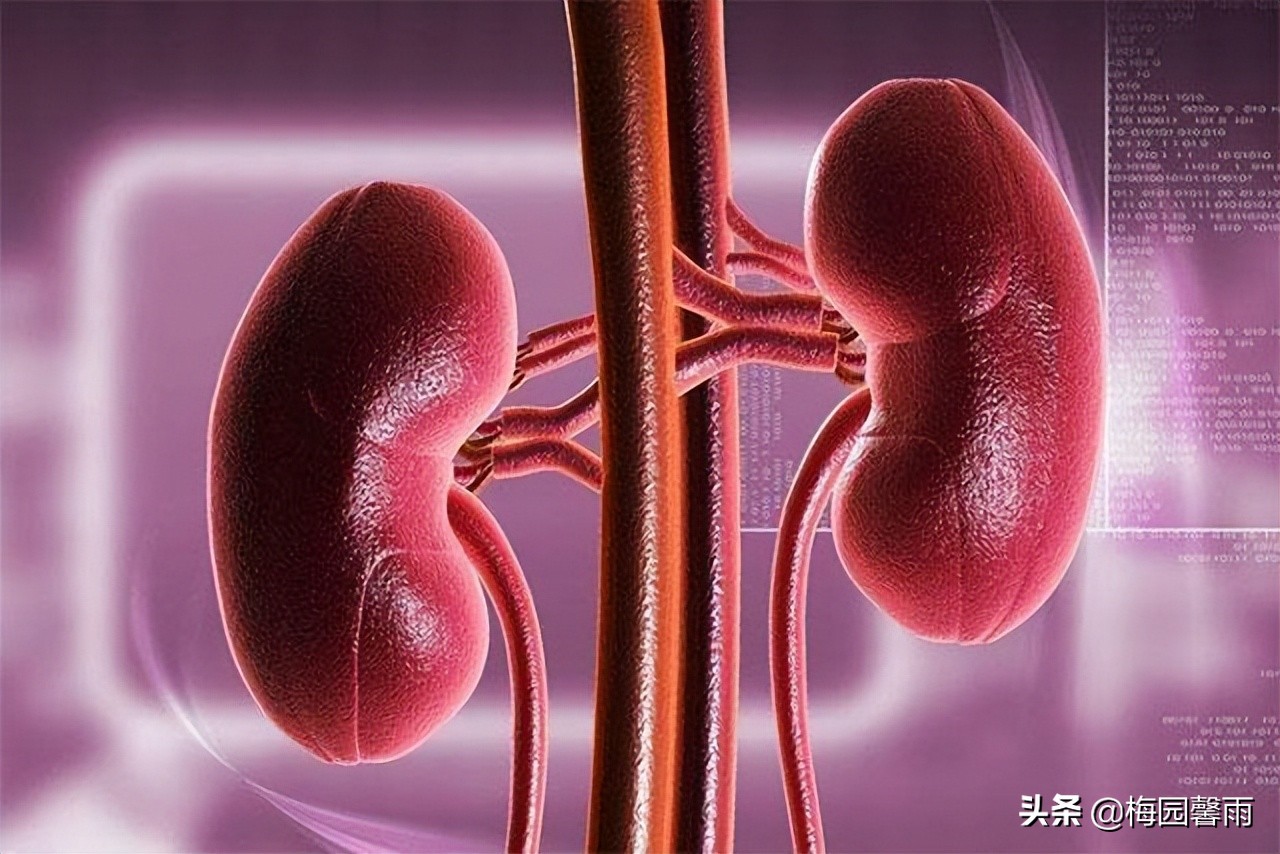 养好肾精，幸福人生——古人的养精之术