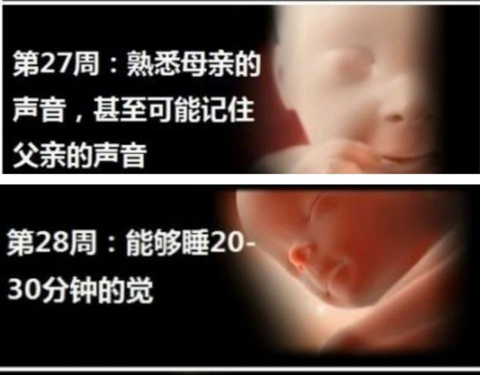 孕晚期是28周还是32周,怀孕28周应该做哪些胎教