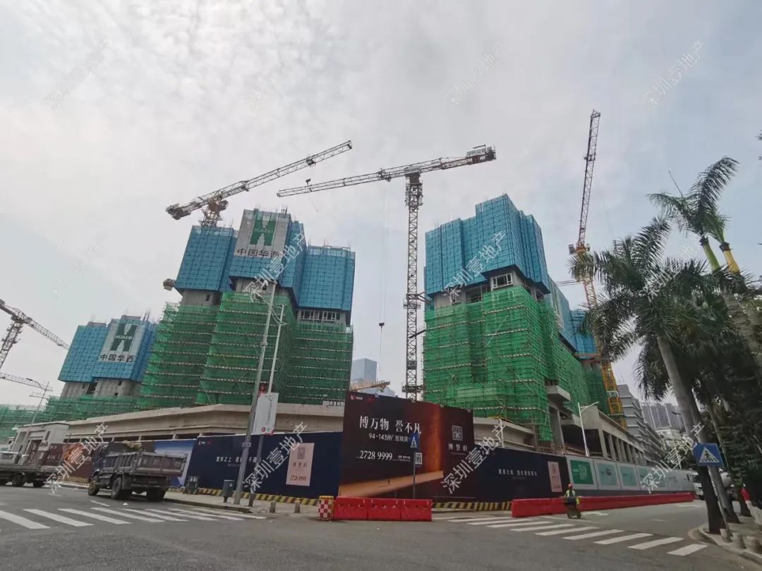 榫欏崕涔版埧鎸囧崡杩欎簺妤肩洏鍊煎緱鍏虫敞,娣卞湷榫欏崕涔版埧韪╅浄