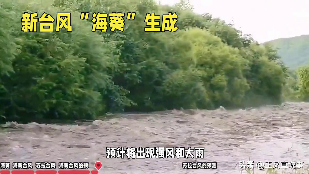 日本预知未来的十五个预言,预言家预言日本能放核污染水吗