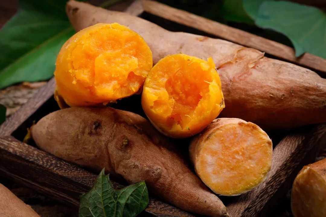 百岁老奶奶精神饱满是怎么回事,百岁老奶奶精神饱满的原因