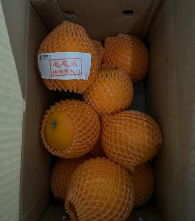 1天4个瓜,泼水节变流氓节,床戏尺度大引热议,世纪婚礼,都是大瓜