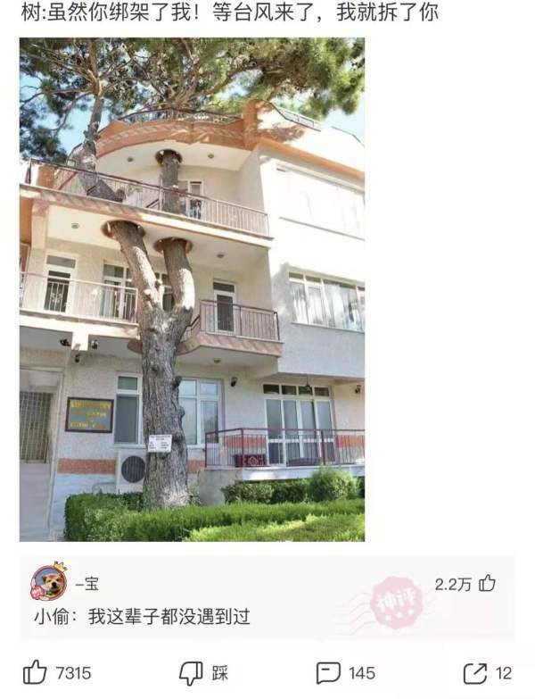 神回复视频怎么制作,朋友圈怎么神回复