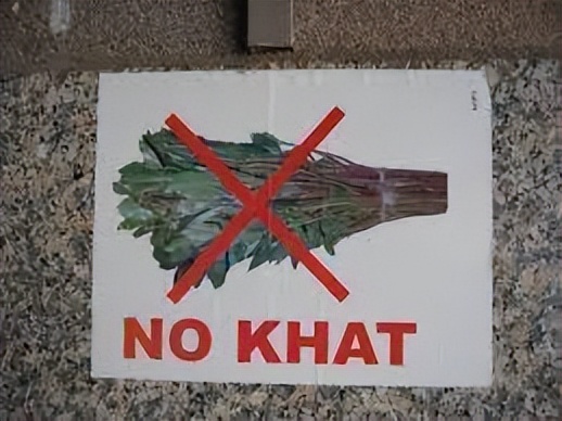 槟榔成瘾的国家,沉迷槟榔应该怎么戒呢