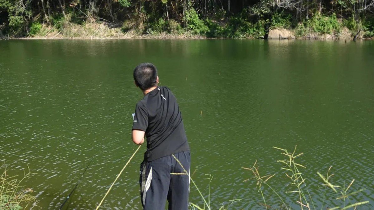 四川雇凶杀人被骗,四川雇凶杀妻案丈夫获刑6年