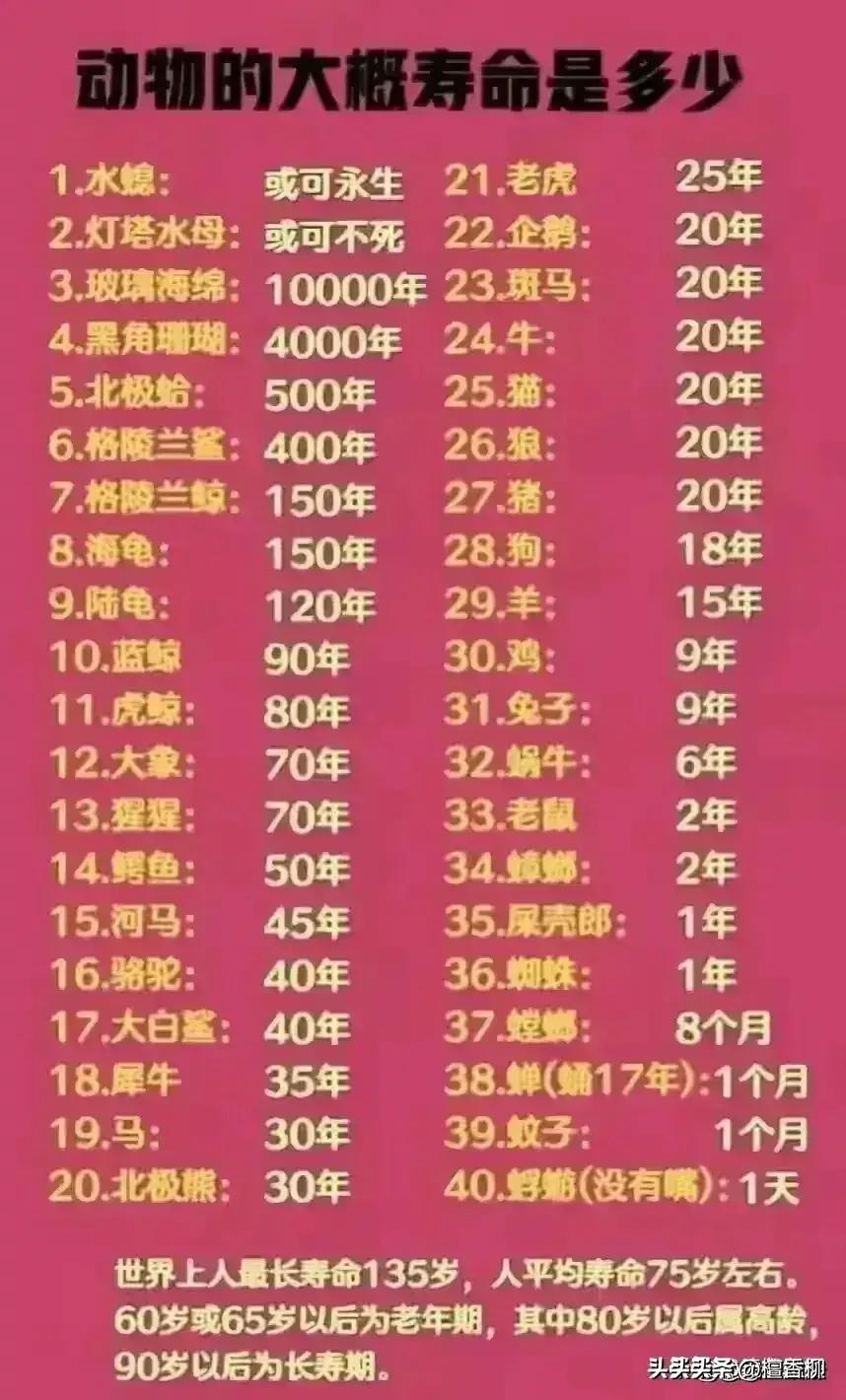 生活必备100个电话号码,生活必备电话100个