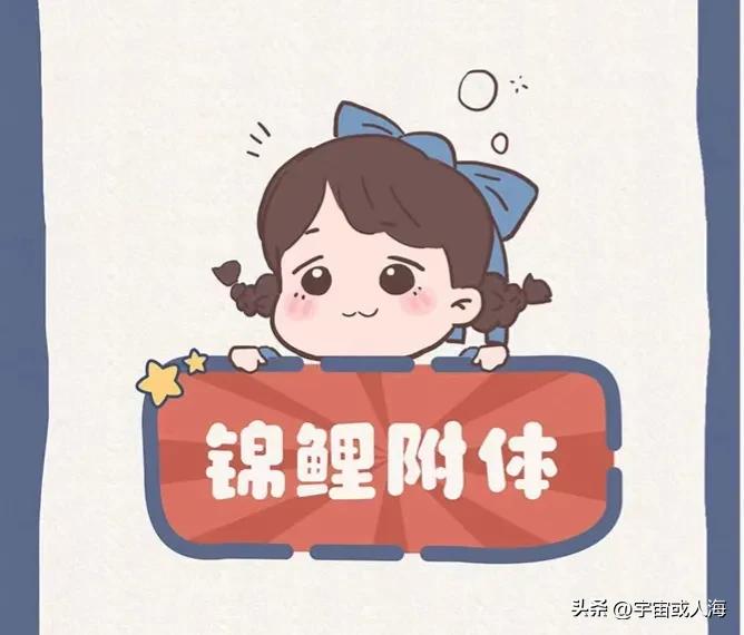 公考成功上岸经验分享少走弯路,来自公考上岸人的12条忠告