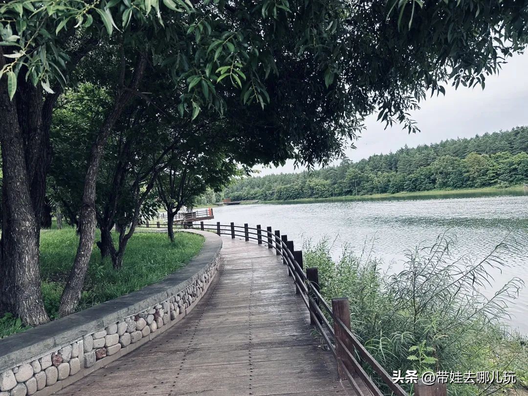 长白山二道白河旅游攻略7月游,自驾二道白河长白山旅游攻略