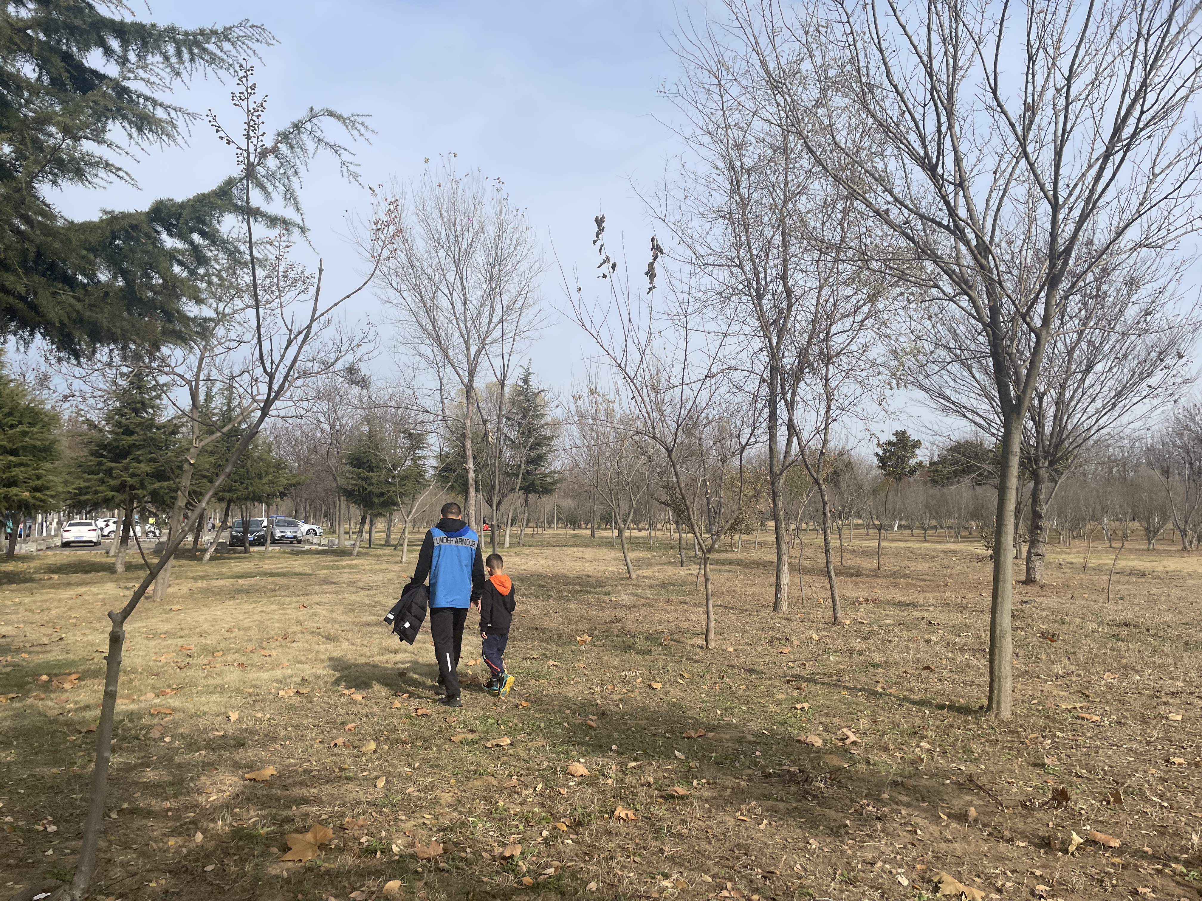 烟台牟平未来一个礼拜的天气,牟平还有发展优势吗