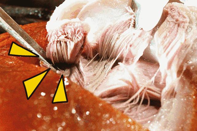 稻城亚丁租车攻略,西安去稻城亚丁攻略