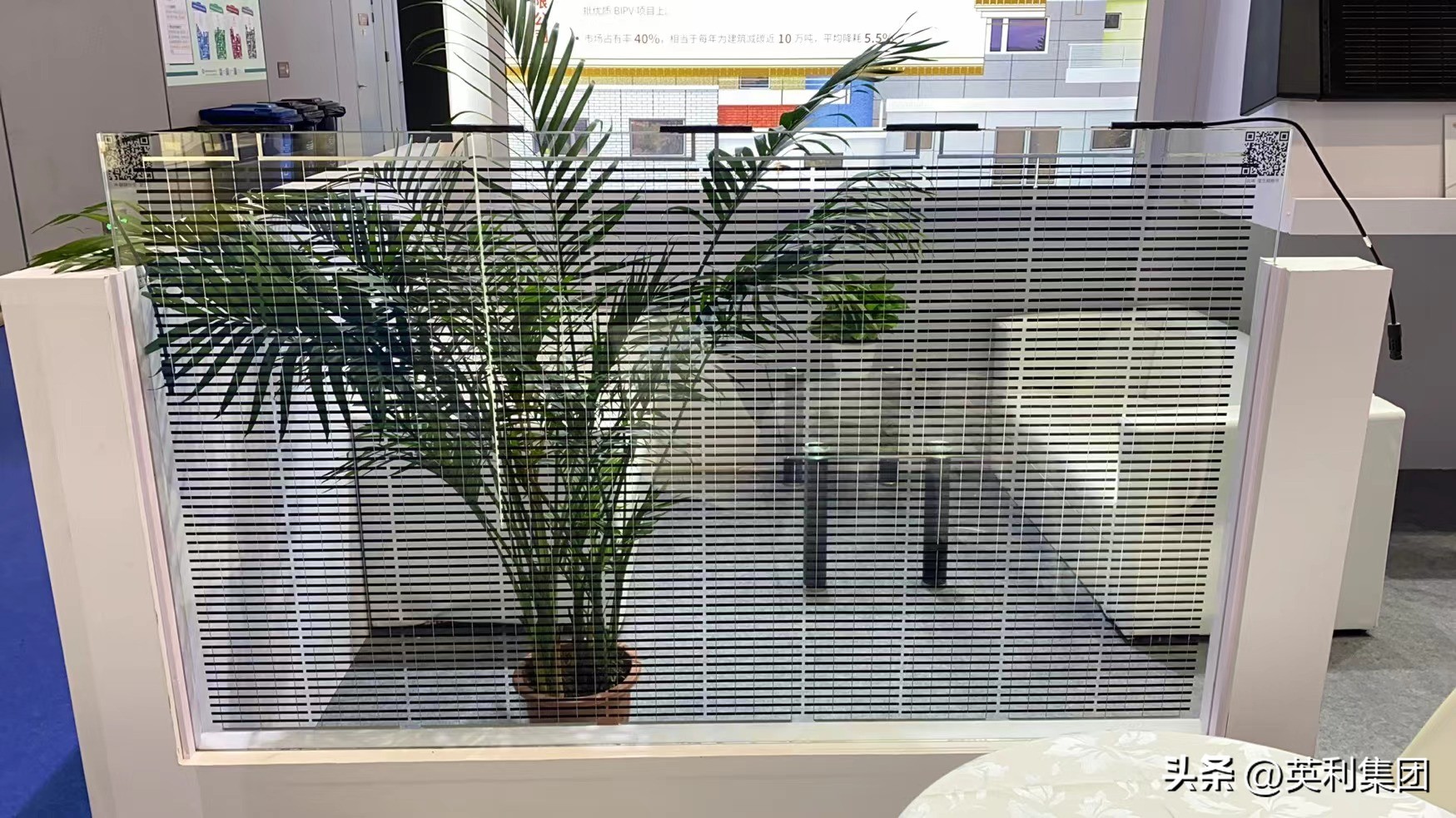 英利亮相拉丁美洲最大光伏展会,英利光伏展会信息时间表