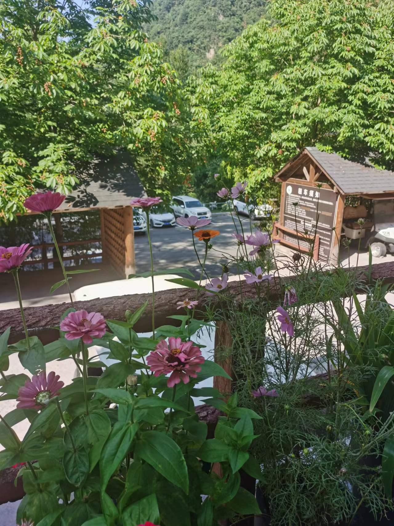 老界岭避暑92号山庄吃住全包,老界岭避暑胜地比较有名