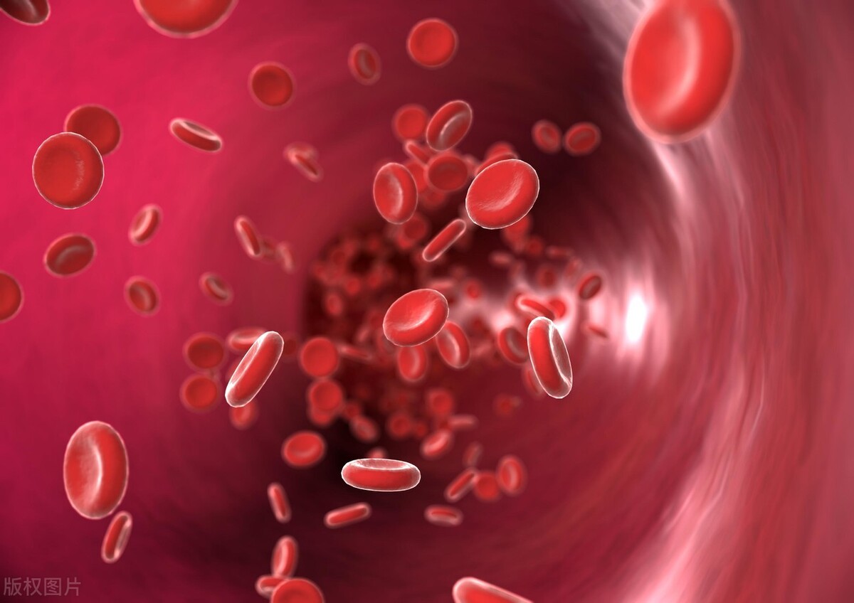 血脂多高需要服药,天天吃药为什么血压还是高