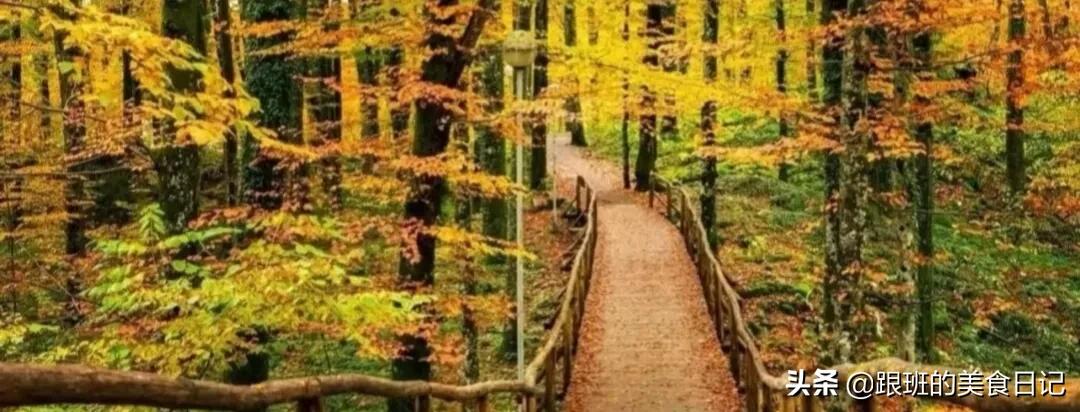 遗书怎么写给私生子,私生子声明书