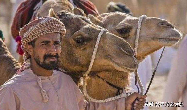 卡塔尔世界杯卡塔尔有多少回报,卡塔尔世界杯卡塔尔赚了多少钱