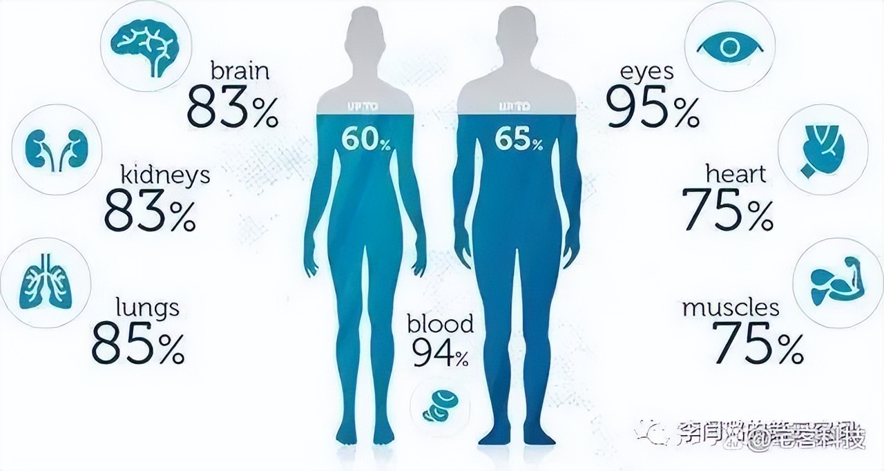 教你看懂检测报告,看懂体测报告中的骨骼肌与体脂