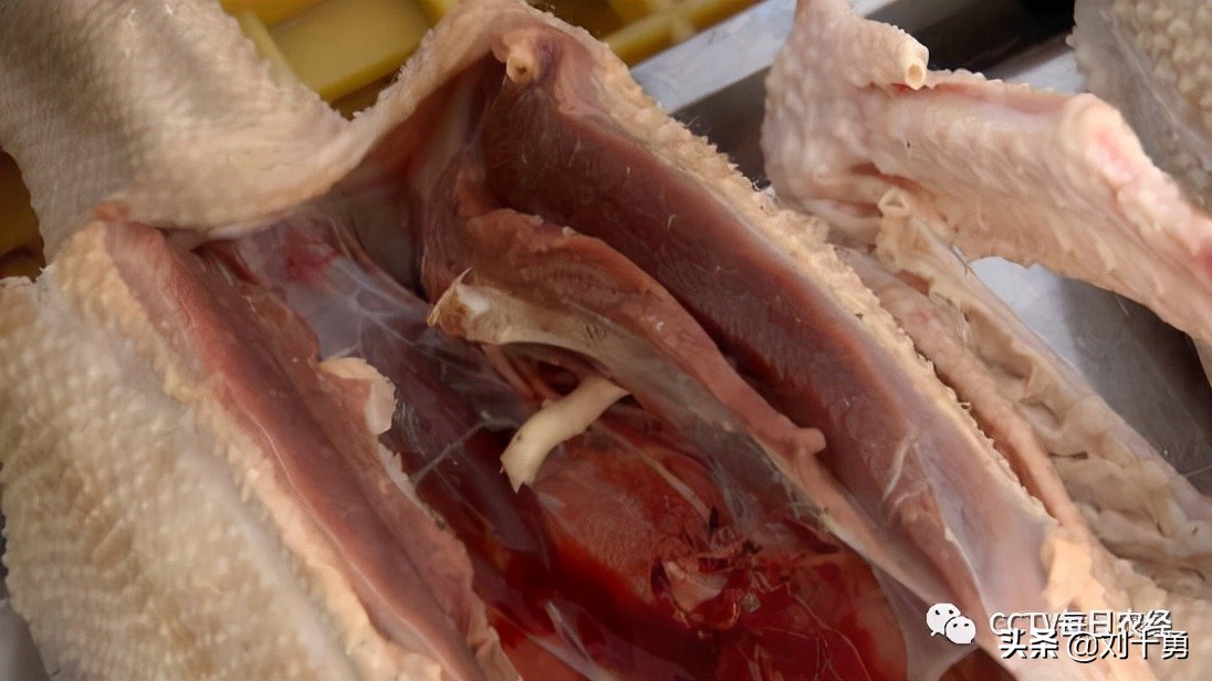 人间美味的动物有哪些,大雁做法和营养价值