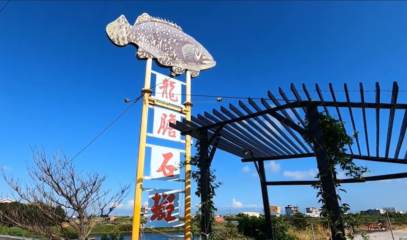 广东渔民钓200多斤石斑鱼,广东渔民捕获280斤石斑鱼