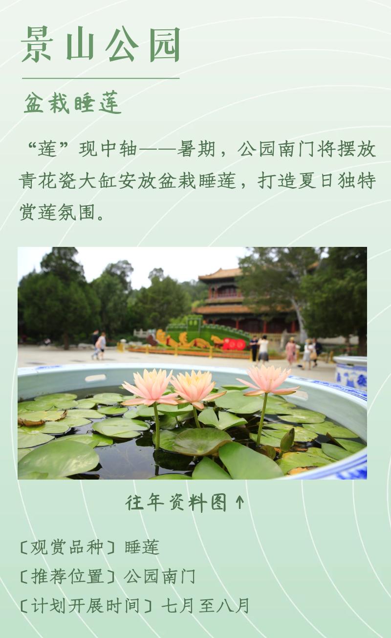 北京赏荷花最佳地点,北京赏荷花的公园