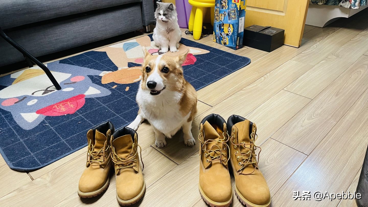 timberland大黄靴10061真假,踢不烂男款大黄靴测评