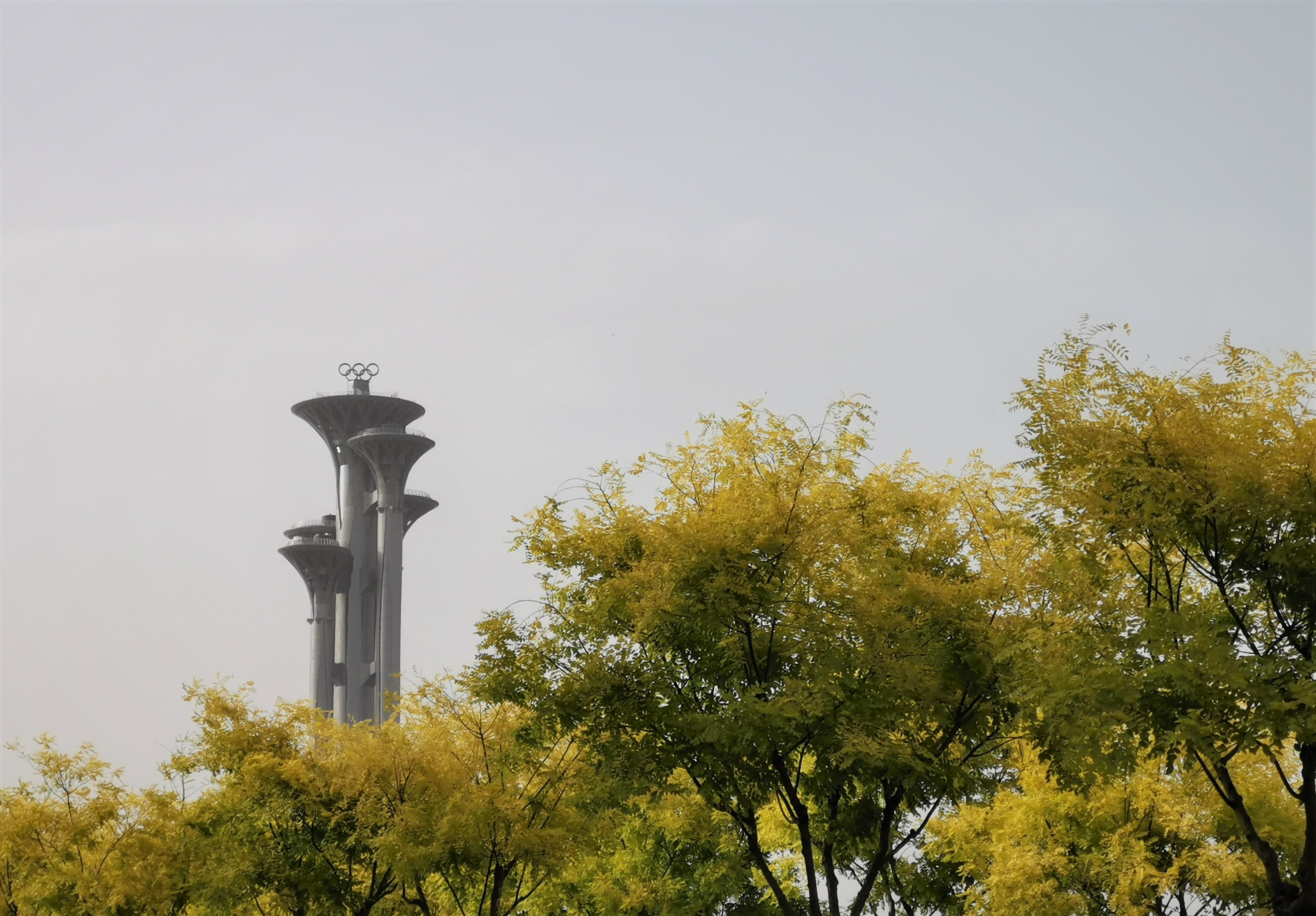 北京鸟巢图片高清真实大图,鸟巢大钉子