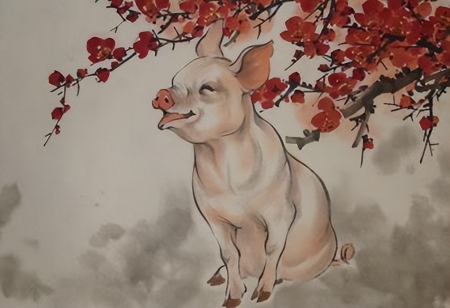 属猪人的逐月出生运势,属猪人出生在这一年的人最享福