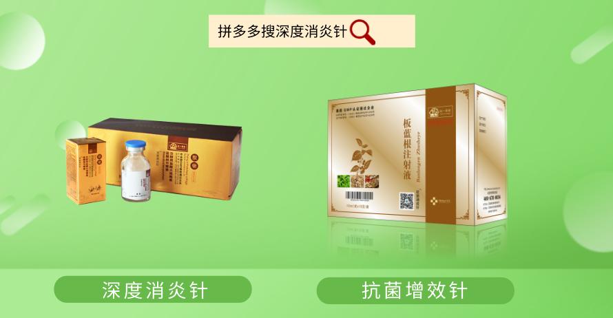 猪拉血是怎么引起的,猪拉血病打什么药