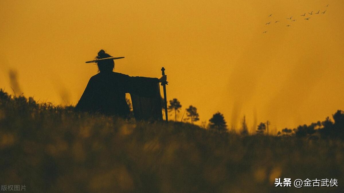 步非烟革金庸的命议论文开头,步非烟是女作家吗
