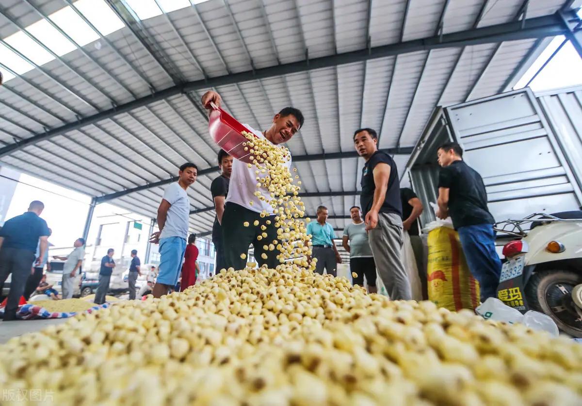 创业适合做的小本生意,不想打工一辈子创业做什么生意好