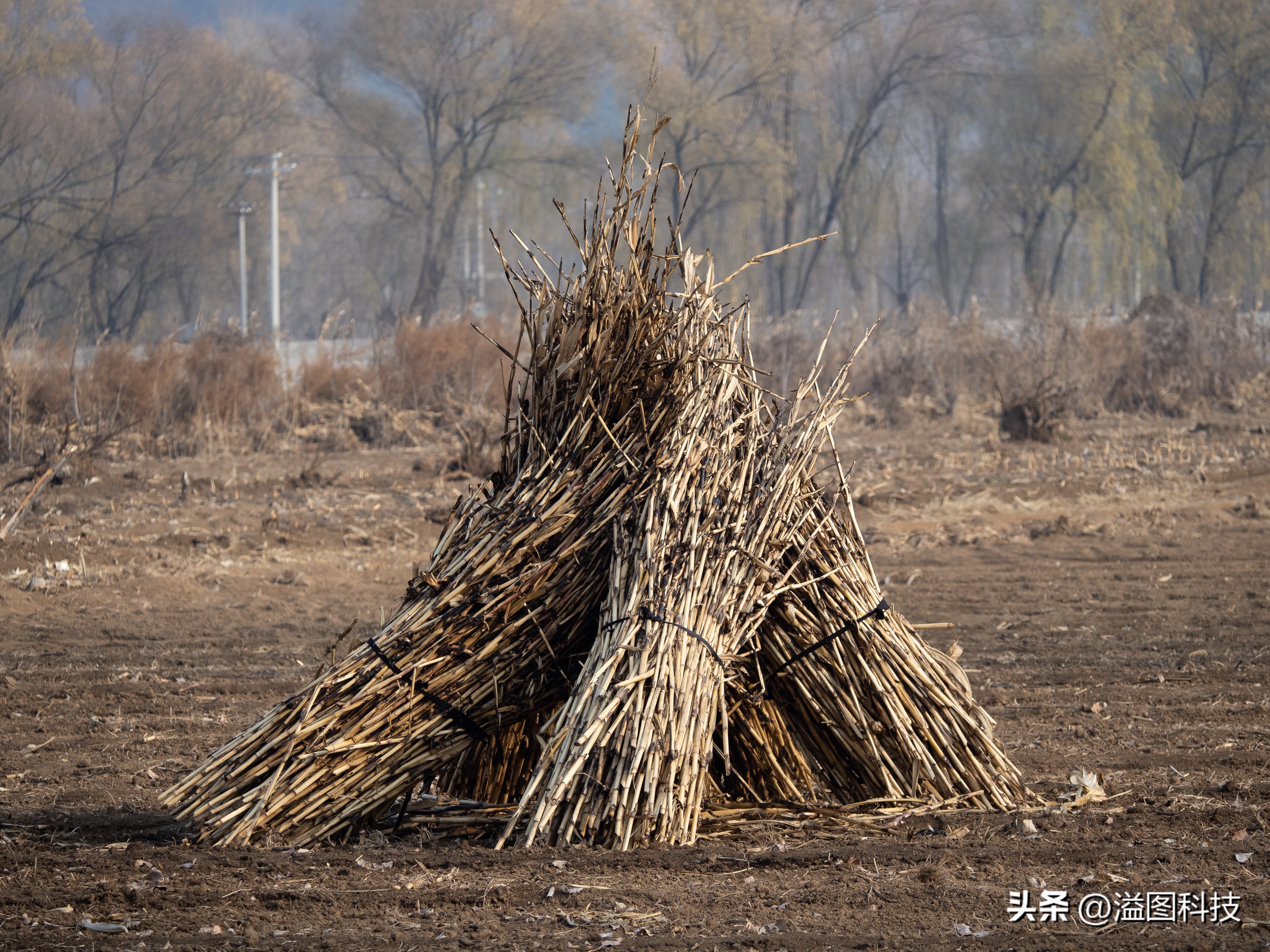 推介一款干活用的微单,新出的入门微单
