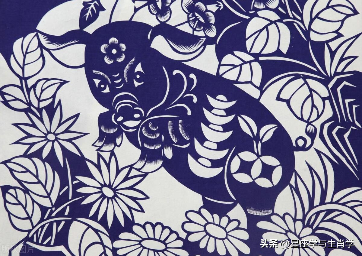 生肖猪财运财富运势如何,生肖猪接福运财运亨通图片