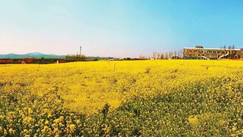 乡村振兴100讲全集,100个经典乡村振兴案例