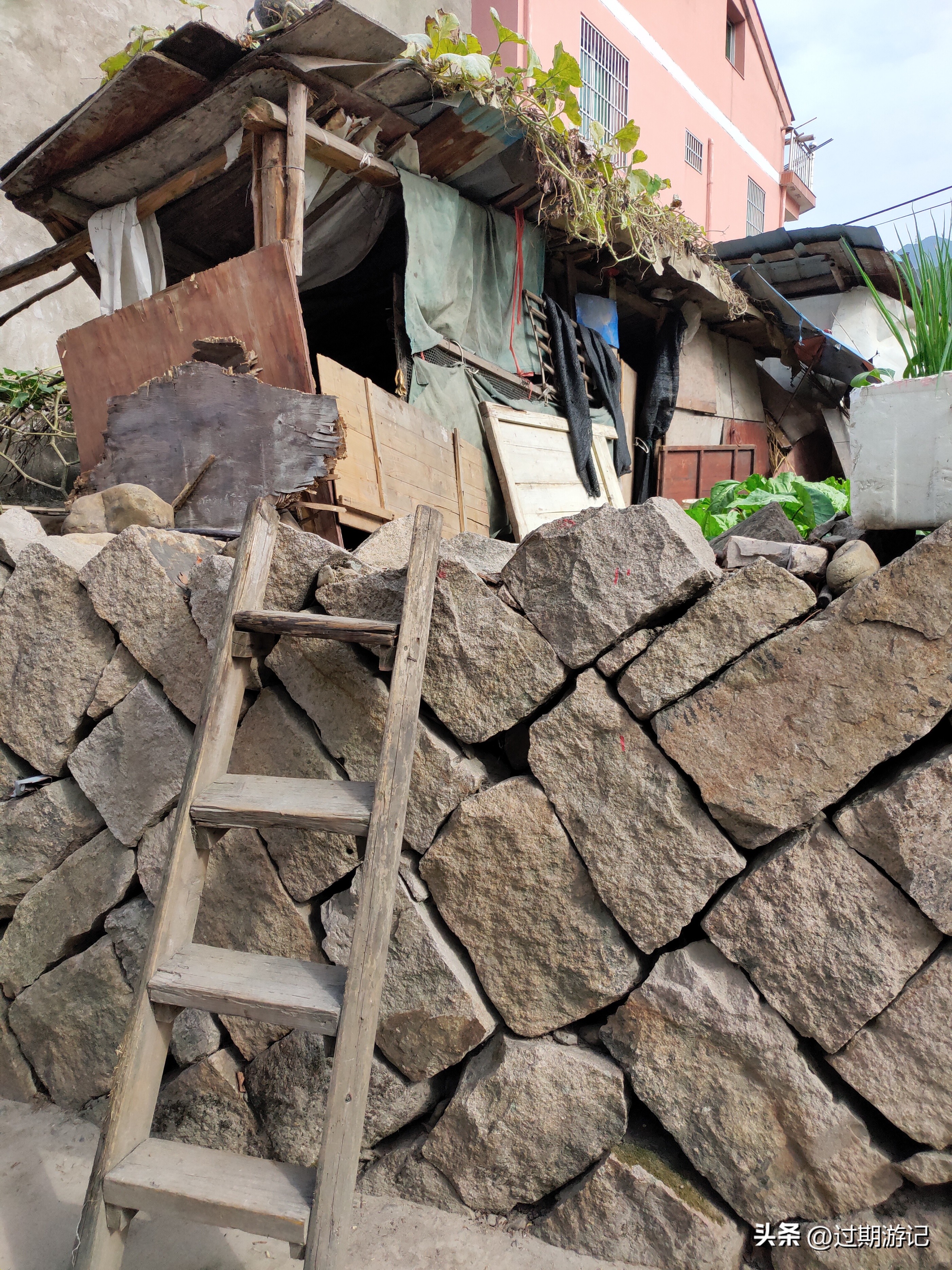 青田旅游购物,到青田要过哪些地方