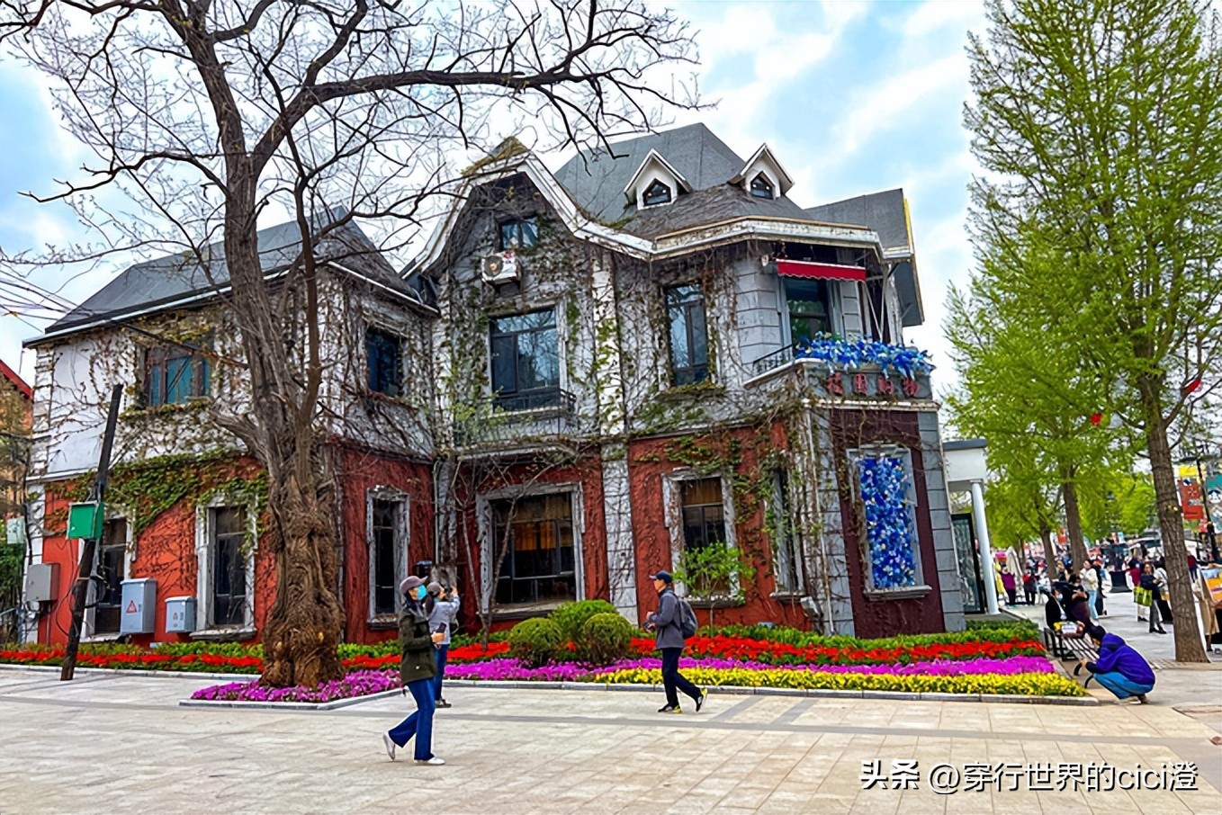 大连一日游都可以玩什么,大连一日游旅游攻略