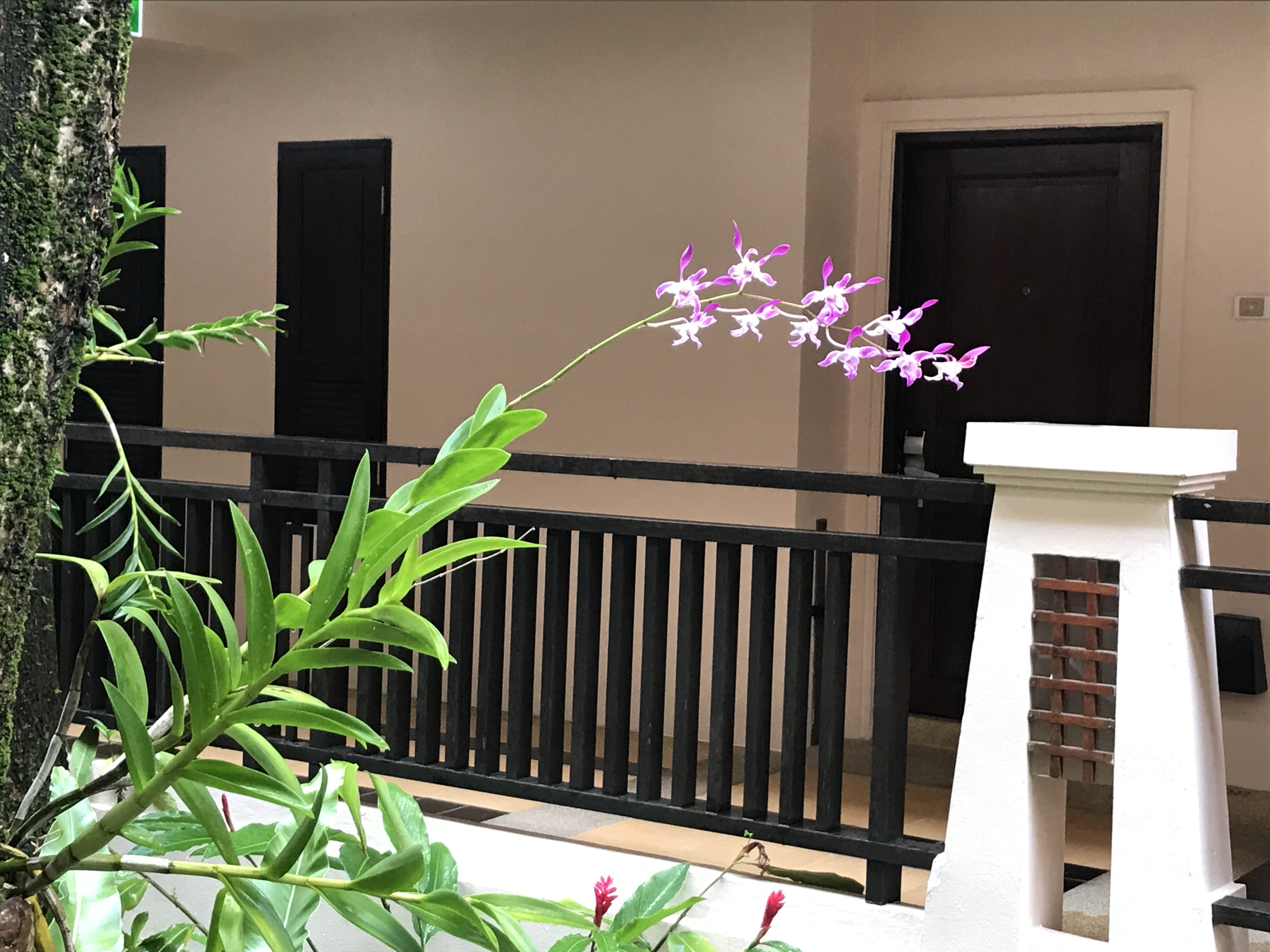 泰国旅游攻略海岛浮潜,泰国象岛跟团游