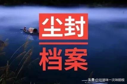 尘封档案五十年代反特案件,特一号案侦破记