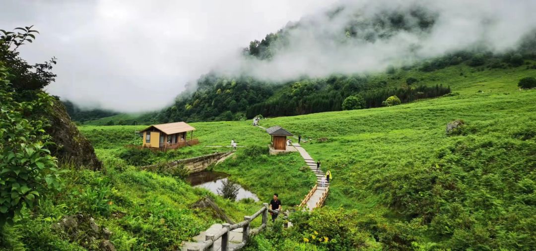 黑竹沟火把节现场视频,黑竹沟晚会