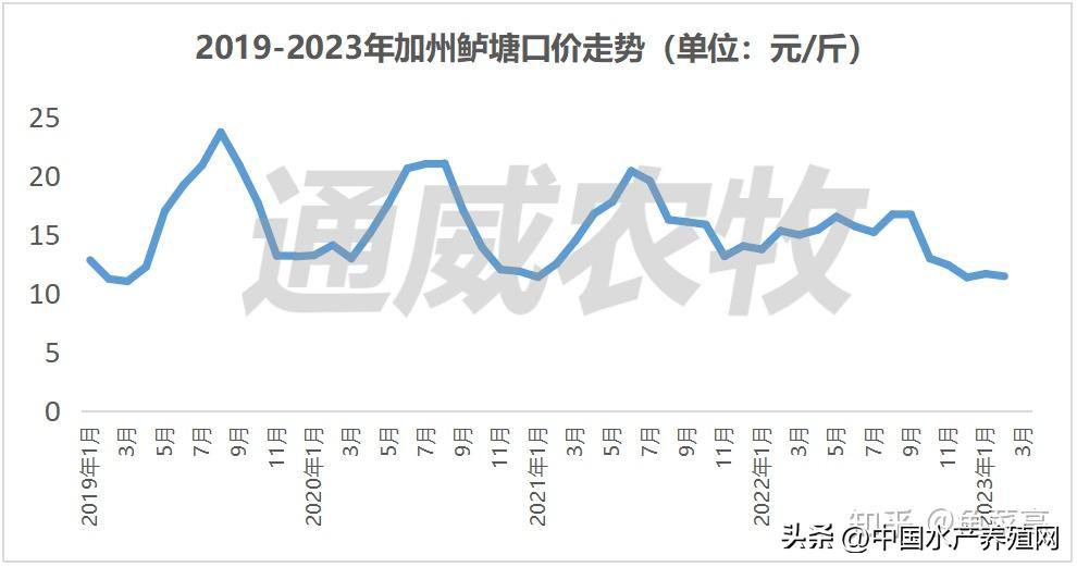 鲈鱼损失惨重,目前鲈鱼掉价的真正原因