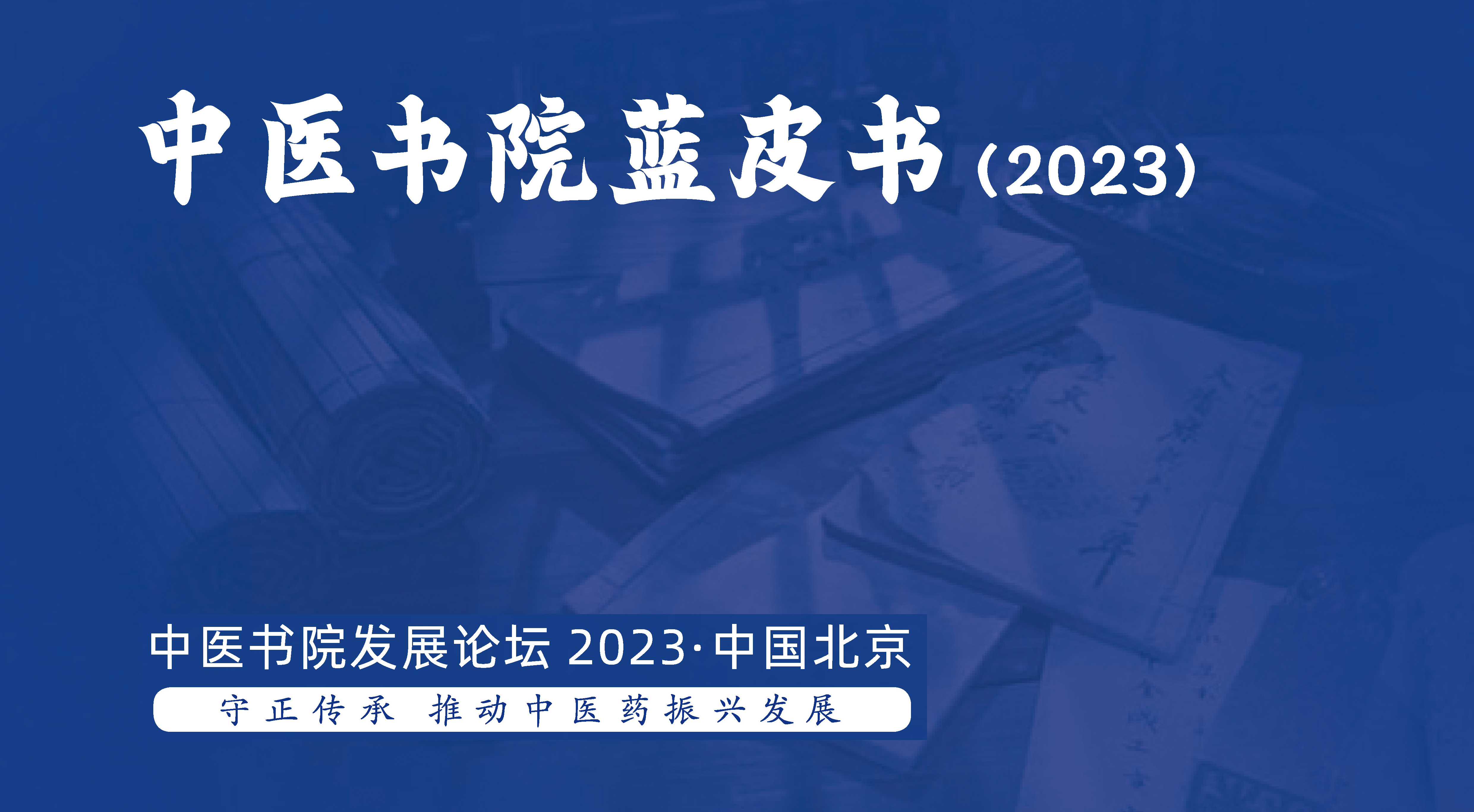 中医学蓝皮书,中医文化蓝皮书内容