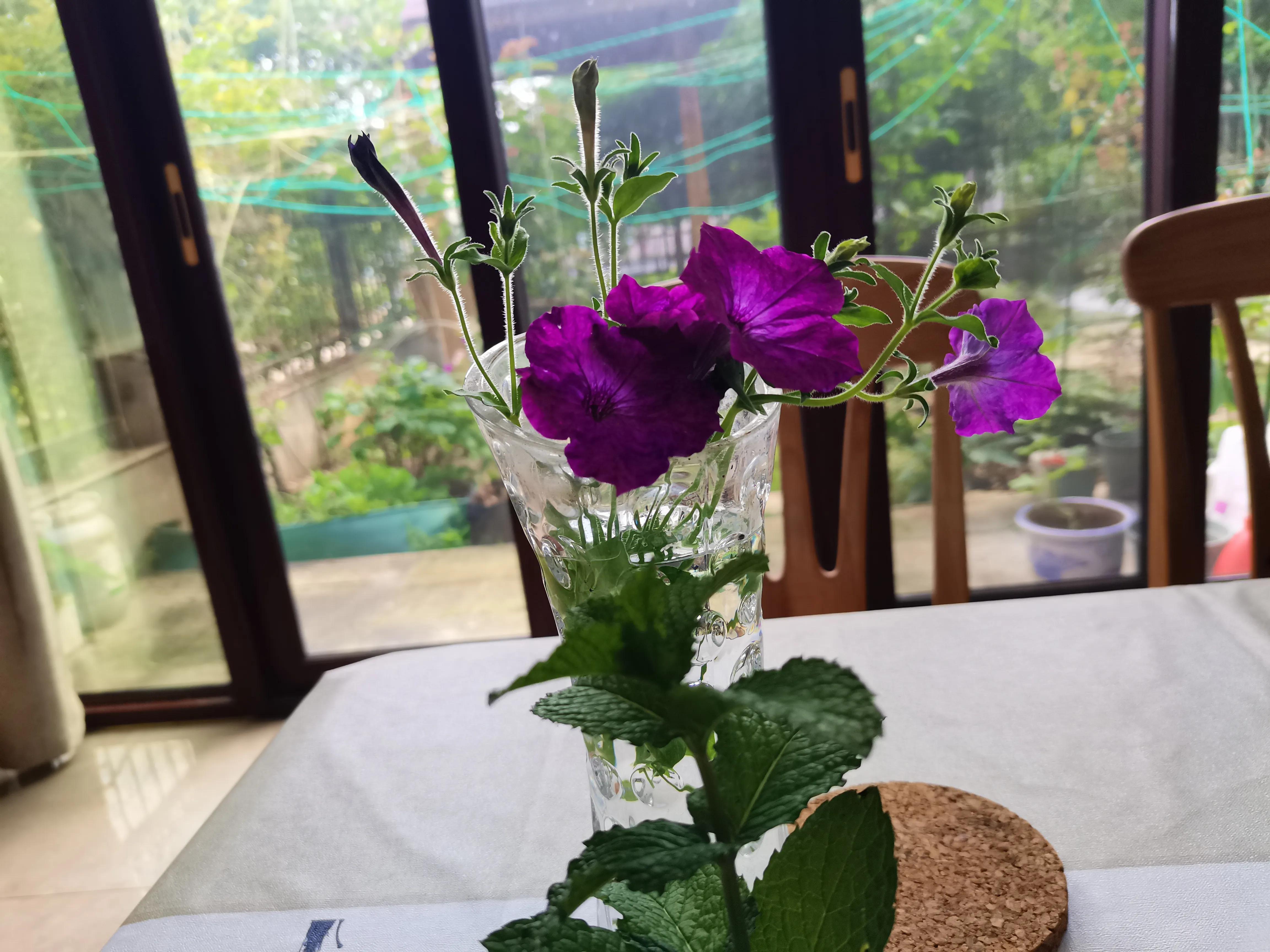 空心病七个特征,空心病怎么自愈