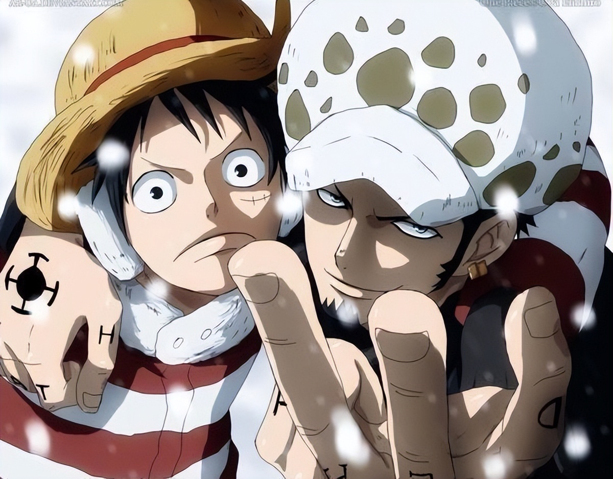 路飞的尼卡果实有什么能力,尼卡果实揭秘