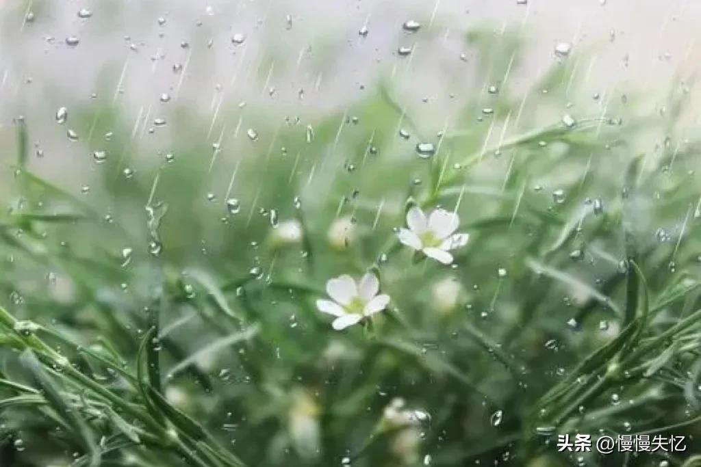 李白的送友人五言律诗,李白艺术水平最高的十首诗词