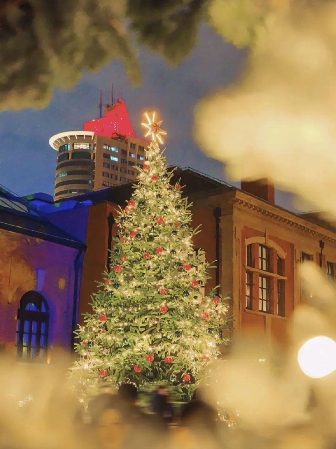 diodes神仙打架,dior和香奈儿神仙打架